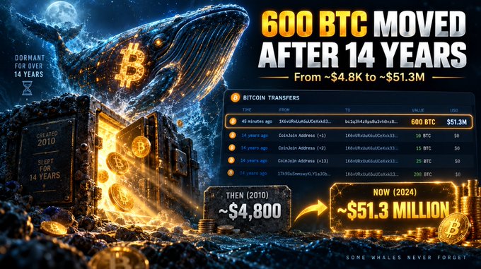 An infographic announces '600 BTC MOVED AFTER 14 YEARS' showing Bitcoin value increasing from ~$4,800 in 2010 to ~$51.3 million in 2024, featuring a whale graphic and transaction details from dormant wallets.