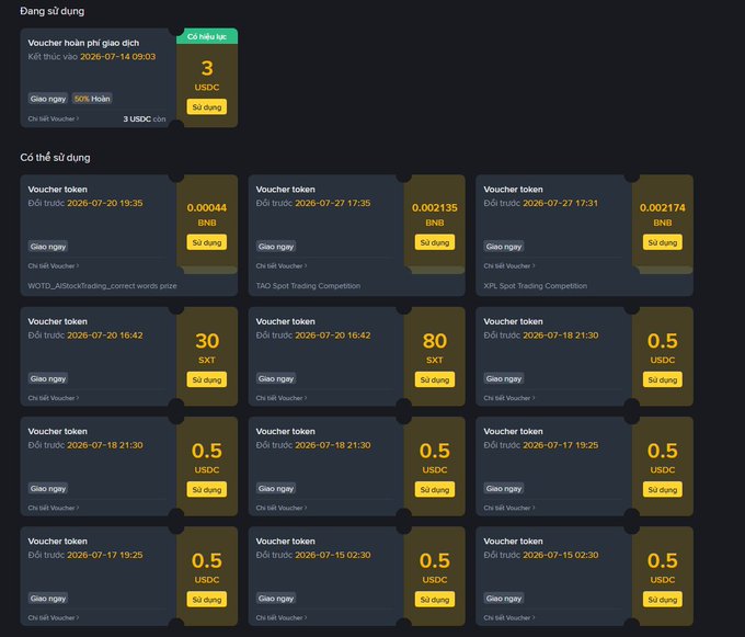 A Vietnamese-language Binance voucher page displaying used and available token vouchers, including 3 USDC as a high-priority voucher and various BNB, SXT, and USDC vouchers ready to use.