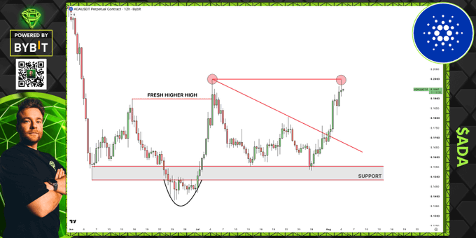 The image shows a candlestick chart of ADA/USDT Perpetual Contract on the Bybit exchange, featuring a trading analyst alongside the chart. The chart displays technical analysis annotations including a "FRESH HIGHER HIGH" marker, a "SUPPORT" zone highlighted at the bottom, and a trendline pointing toward a potential double top formation, visually supporting the analysis that ADA has rallied from the buy-the-dip support level but now faces resistance.