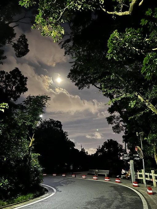 A nighttime photograph of a curved road illuminated by streetlights, framed by dark trees, with a bright moon in the cloudy sky.