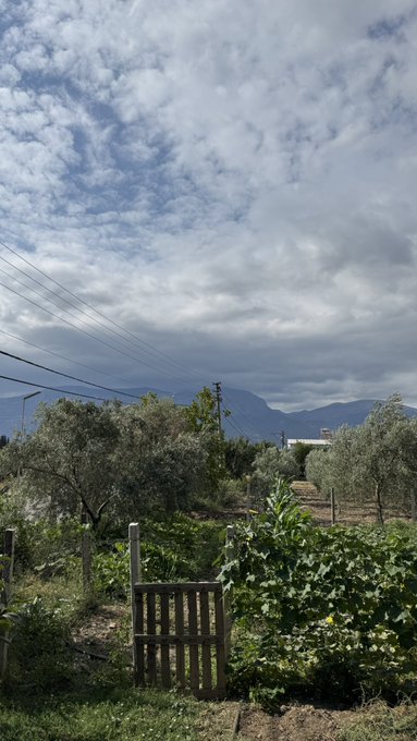 A rural garden scene features rows of vegetables, a wooden gate, and olive trees in the foreground, with mountains and a cloudy sky in the background.