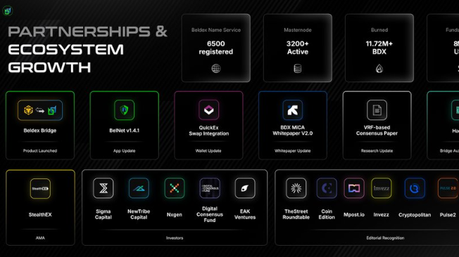 A 'Partnerships & Ecosystem Growth' dashboard displaying stats like '6500 registered' and '3200+ Active', with sections for BolDex Bridge, BeINet v1.4.1, QuikEx Swap Integration, RDX MICA Whitepaper V2.0, and various investors including StealthEX and Sigma Capital.