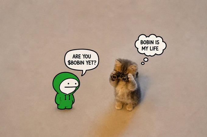 A meme featuring a green hooded character asking 'ARE YOU $BOBIN YET?' to a fluffy cat with binoculars thinking 'BOBIN IS MY LIFE'.