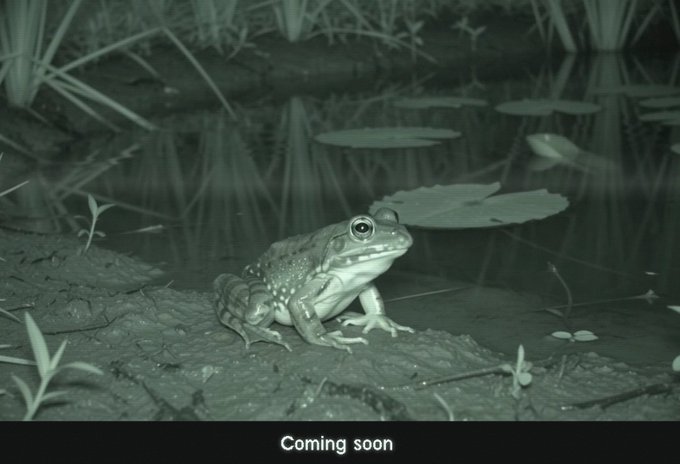 A night-vision image shows a frog sitting by a pond with lily pads, with the text "Coming soon" displayed at the bottom—matching the post's humorous description of staying up late to watch Uniswap's mysterious countdown only to be greeted by a frog and an anticlimactic "Coming soon" message.