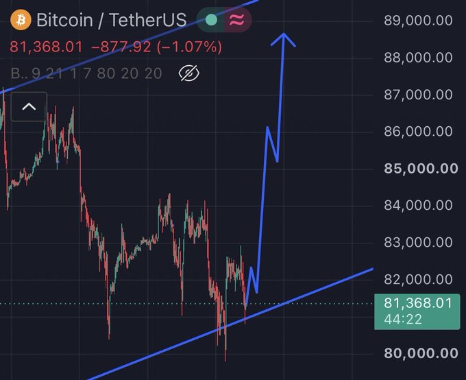 Bitcoin/USDT trading chart on TradingView showing BTC at $81,368.01, down 1.07% (-$877.92), with a blue annotation depicting a projected rally toward $88,000 after bouncing off a major support level, visually reinforcing the post's bullish thesis of an upcoming weekend rally following the recent shakeout.