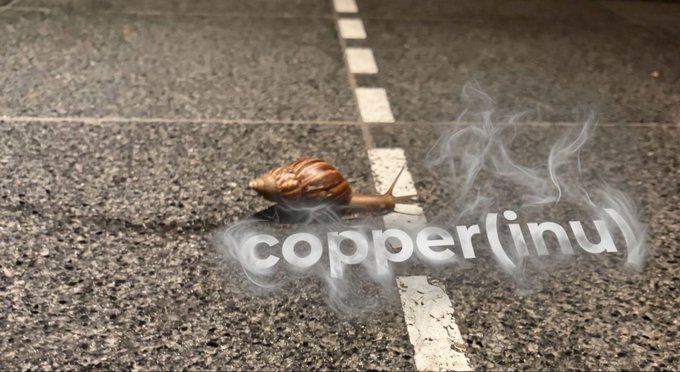 A snail crawls across an asphalt road with white dashed lines, appearing to leave a trail of white smoke that forms the text 'copper(jinu)'.