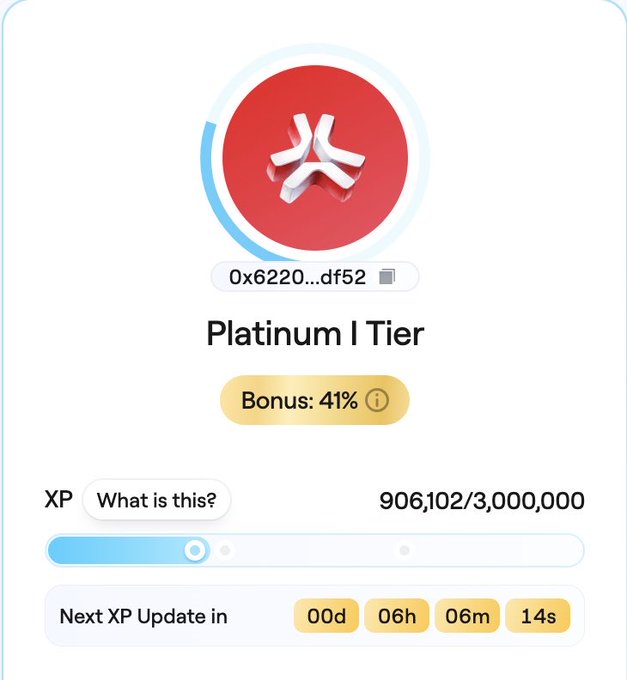 Abstract account dashboard displaying Platinum I Tier status with a 41% bonus, 906,102/3,000,000 XP progress, and next XP update in 00d 06h 06m 14s.