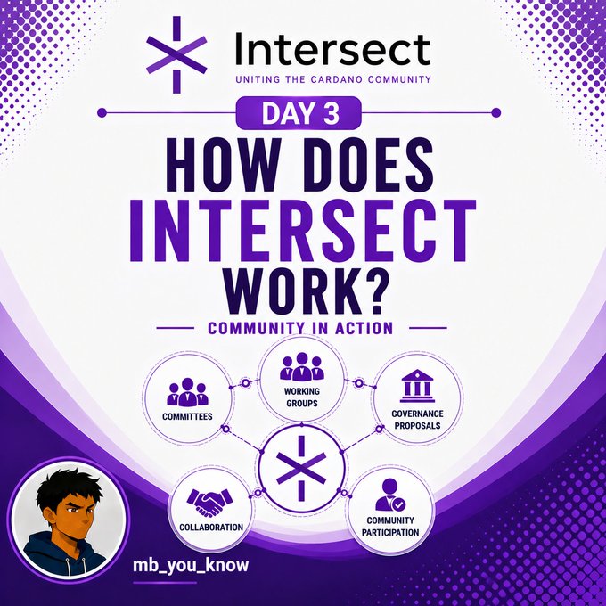 A purple-themed graphic titled "Day 3: How Does Intersect Work? Community in Action" featuring the Intersect logo and a diagram showing interconnected components including Committees, Working Groups, Governance Proposals, Community Participation, and Collaboration around a central Intersect icon, with an anime-style avatar labeled "mb_you_known" at the bottom. The visual illustrates how Intersect members collaborate across various groups to shape Cardano's future through community-driven governance and participation.