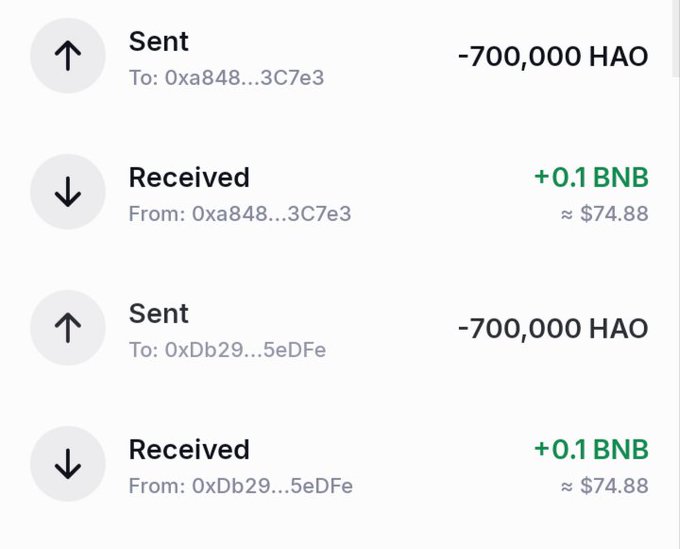 A cryptocurrency transaction history shows alternating sent (-700,000 HAO) and received (+0.1 BNB ≈ $74.88) entries between addresses 0xa848...3C7e3 and 0xDb29...5eDFe.
