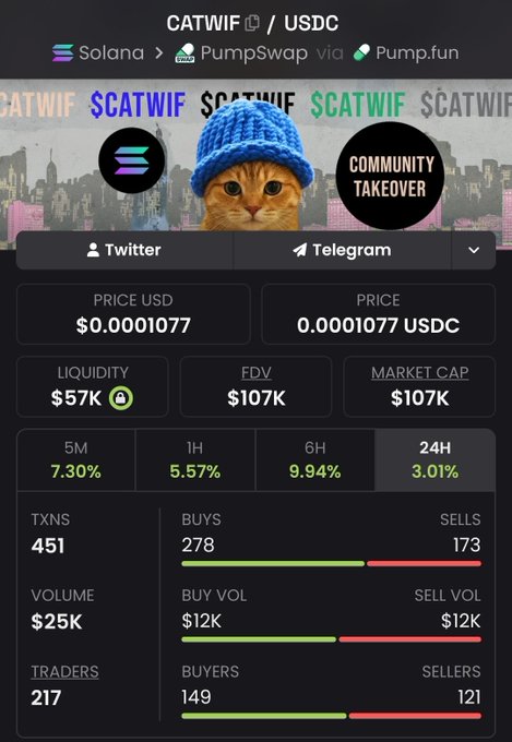 A cryptocurrency tracker interface for the token $CATWIF on the Solana network via PumpSwap, showing a price of $0.0001077, a market cap of $107K, and a "COMMUNITY TAKEOVER" banner featuring a cat in a blue beanie.