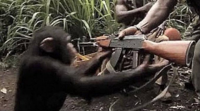 The image shows a group of people standing around, including two men holding guns and a monkey reaching for one of them. The monkey appears to be trying to grab something from one of the individuals with a gun. One person has a backpack on their back, while another is wearing a tie. The scene seems to depict an unusual interaction between humans and animals in a potentially dangerous situation.