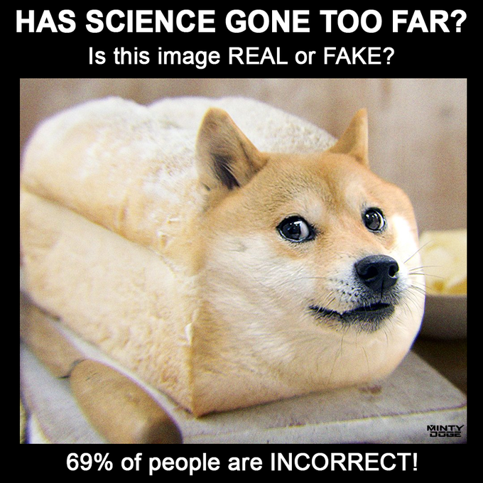 A meme showing a Shiba Inu dog stuffed inside a bread loaf, with text asking "HAS SCIENCE GONE TOO FAR? Is this image REAL or FAKE?" and claiming "69% of people are INCORRECT!" with a "Minty Doge" watermark.