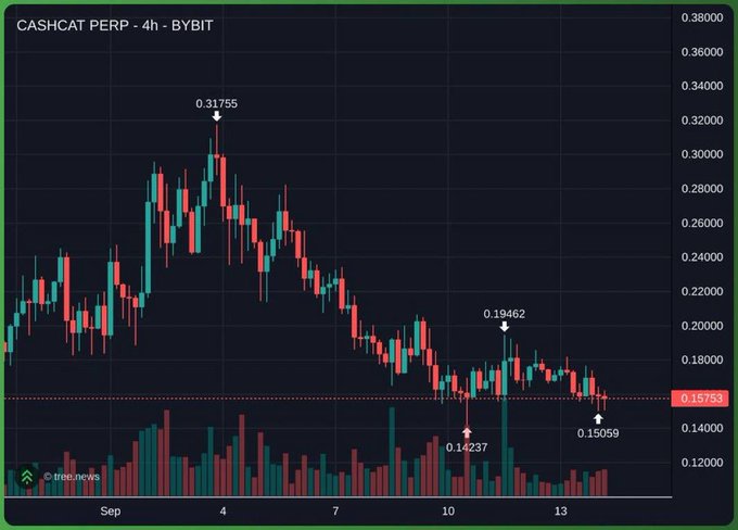 A 4-hour candlestick chart of CASHCAT PERP on BYBIT showing a sharp downtrend from a peak of $0.31755 to $0.15059, with a recent low of $0.14237 marked near the current price of $0.15753, illustrating the token's significant price decline as the post compares its early-stage potential to DOGE's growth trajectory.