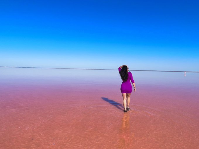 A woman in a purple dress wades through the pink-hued waters of a salt lake under a clear blue sky, with her reflection visible in the shallow water.