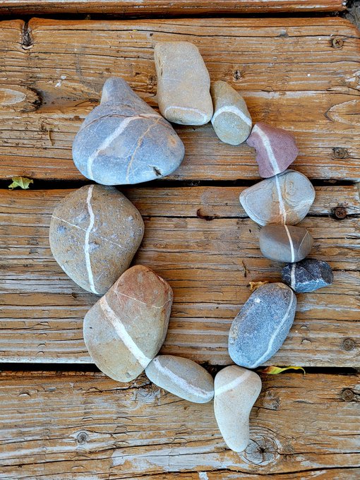The image features a collection of rocks arranged in a circular pattern on a wooden surface. There are at least 14 different types of rocks displayed, each with its own unique shape and size. The arrangement creates an interesting visual effect that draws attention to the variety of rocks present. The caption "Ok you have all your ducks in a row, but are your rocks all in a circle?". This statement could be interpreted as a playful observation about how the rocks appear to be arranged in a circular pattern on the wooden surface.