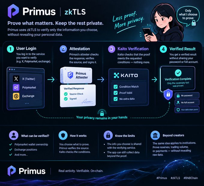Primus zkTLS infographic titled 'Prove what matters. Keep the rest private' with the tagline 'Less proof. More privacy,' illustrating a 4-step verification process: User Login, Attestation, Kaito Verification, and Verified Result, featuring sections on 'What can be verified?', 'How it works', 'Know the limits', and 'Beyond creators.'
