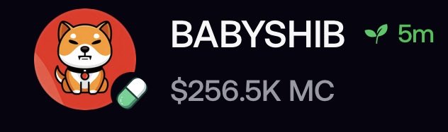 A cryptocurrency meme token banner showing 'BABYSHIB' with a Shiba Inu dog icon, a 5m (plant) marker, and a market cap of '$256.5K MC'.