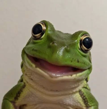 A close-up photograph of a smiling green frog figurine or model. The frog has large, round black eyes with gold rims and an open mouth showing a pink interior.