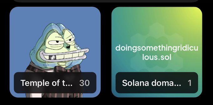 The image shows a cartoon frog character with a gritted, sly smile labeled "Temple of t... 30" next to a green gradient card displaying "doingsomethingridiculous.sol" with a "Solana doma... 1" button. The frog's suspicious grin humorously matches the post's joke, suggesting he might be in on the "doingsomethingridiculous" meme token secret.