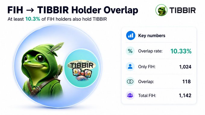 A holder overlap analysis titled 'FIH → TIBBIR Holder Overlap' showing at least 10.33% of FIH holders also hold TIBBIR, with 118 overlapping holders out of 1,142 total FIH holders.