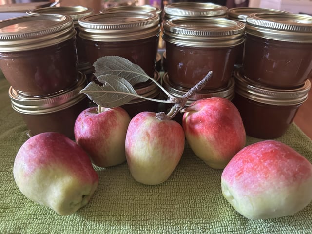 The image features a collection of apples, including six red ones and two green ones, arranged on a table or countertop. The apples are accompanied by jars filled with jam, suggesting that they have been freshly picked from an apple tree and are now being preserved for later use. The presence of the jars and the apples together convey a sense of harvest time and the process of turning fresh fruit into delicious preserves.