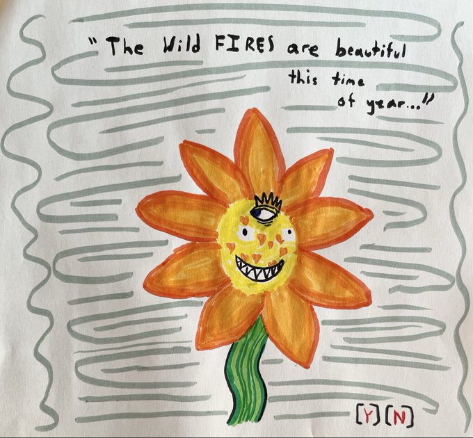 A child's drawing depicts an orange flower with a face featuring an eye on its forehead and sharp teeth, with handwritten text reading '"The Wild FIRES are beautiful this time of year..."' and '[Y] [N]' at the bottom.