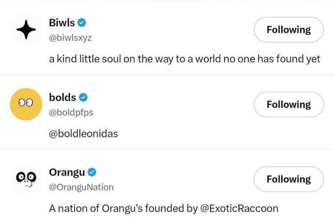Twitter profile listings for Biwls (@biwlsxyz), bolds (@boldpfps), and Orangu (@OranguNation), all marked as 'Following', with Biwls described as 'a kind little soul' and Orangu as 'A nation of Orangu's founded by @ExoticRaccoon'.