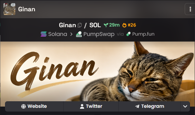 A Pump.fun token profile for 'Ginan' on Solana, showing a tabby cat image, a 29m market cap, #26 ranking, and links to Website, Twitter, and Telegram.