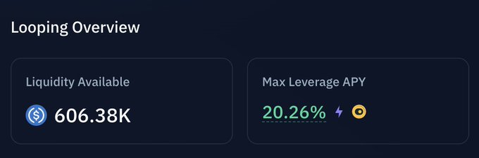 A dark-themed dashboard panel titled 'Looping Overview' displaying 'Liquidity Available' of 606.38K next to a USDC icon, and a 'Max Leverage APY' of 20.26% with Ethereum and Solana icons.