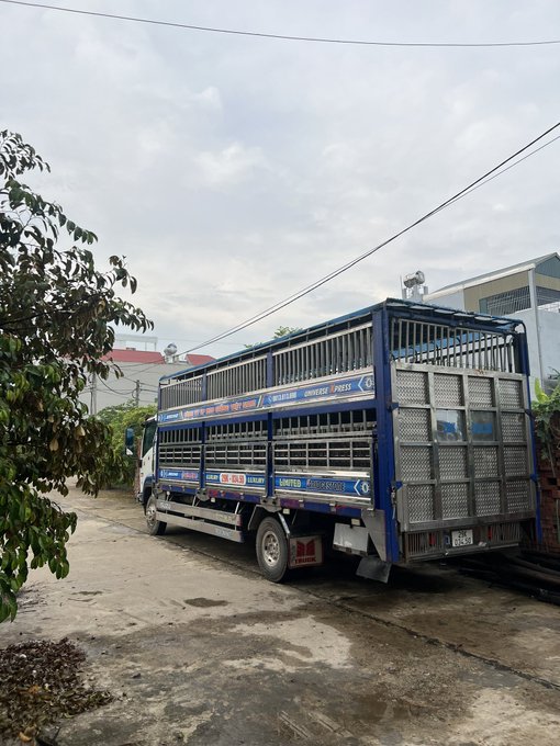 A blue livestock transport truck parked on a concrete surface near a building, with license plate visible.