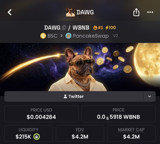 The image shows a DexScreener page for the DAWG/WBNB trading pair on PancakeSwap V2 (BSC), displaying a price of $0.004284 (0.0₅5918 WBNB), liquidity of $215K, and FDV/market cap of $4.2M, featuring a space-themed banner with a French Bulldog wearing sunglasses. This directly illustrates the "$DAWG ON $BNB" post by showing the token's active WBNB (BNB-wrapped) trading pair on the BNB Smart Chain.