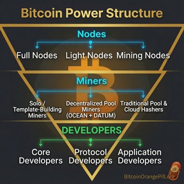 An infographic titled "Bitcoin Power Structure" illustrates the three centralized groups behind Bitcoin: Nodes (Full, Light, Mining), Miners (Solo/Template-Building, Decentralized Pool Miners like OCEAN + DATUM, Traditional Pool & Cloud Hashers), and Developers (Core, Protocol, Application Developers)—visually reinforcing the post's argument that Bitcoin's so-called immutability relies on consensus among these concentrated power players rather than being inherent.