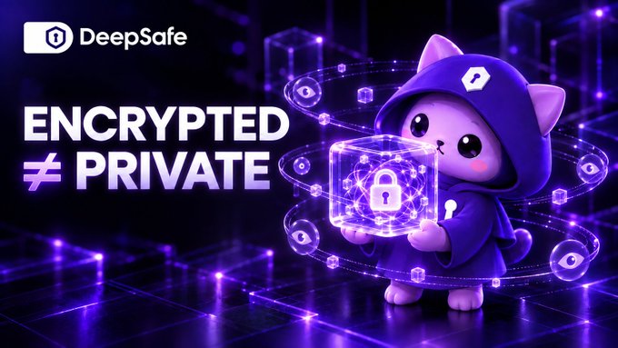 The image is a promotional graphic for "DeepSafe" featuring a cartoon cat mascot dressed in a purple hacker-style hoodie, holding a glowing digital cube secured with a padlock, surrounded by floating lock icons. Bold text reads "ENCRYPTED ≠ PRIVATE," visually reinforcing the post's point that encryption and privacy are two distinct concepts — encryption protects contents, but doesn't necessarily hide that something happened at all.
