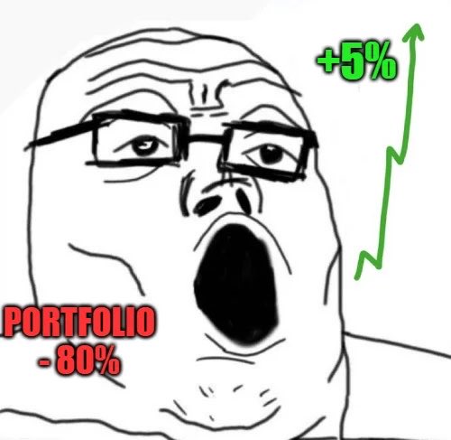 A Soyjak-style meme with a wide-eyed cartoon face wearing glasses, labeled "PORTFOLIO -80%" with a green upward arrow showing "+5%".