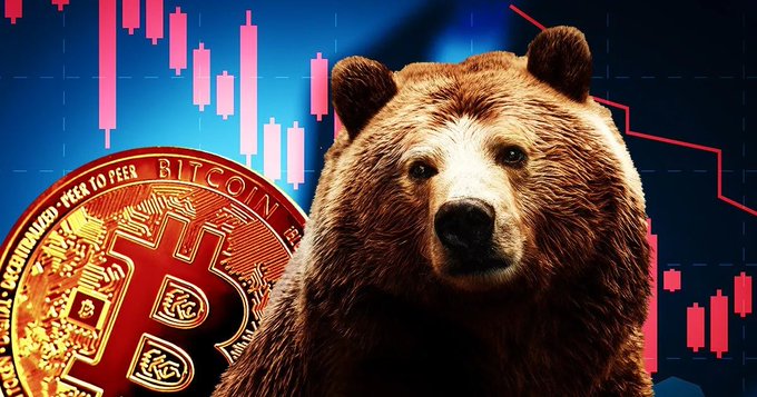 A graphic depicting a brown bear in front of a stock chart with red candlesticks and a downward-trending line, alongside a golden Bitcoin coin, symbolizing a cryptocurrency bear market.