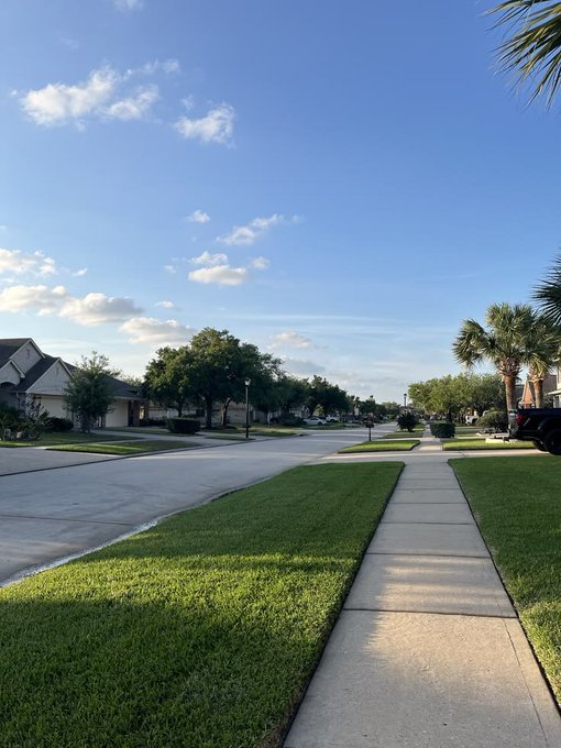 A suburban residential street view featuring a sidewalk, green lawns, houses, and palm trees under a blue sky with scattered clouds.