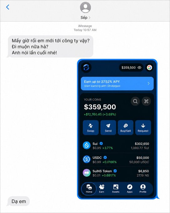 A Vietnamese-language iMessage conversation where someone shares a screenshot of a crypto wallet showing $359,500 in holdings including SUI, USDC, and SulNS Token.