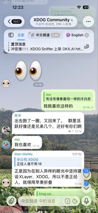 A Telegram group chat screenshot from the "XDOG Community" showing 11,870 members discussing XDOG Sniffer and XLayer ecosystem developments. The conversation features messages in Chinese from users "mo," "Man MeMe," and "king uo" debating community membership numbers and showing enthusiasm for the project, aligning with the post's message about long-term commitment to XLayerOfficial and pushing the XDOG ecosystem forward.
