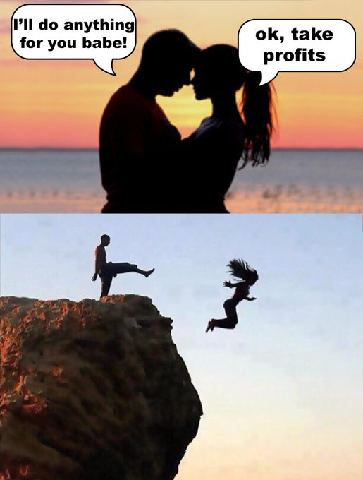 A meme featuring a romantic couple silhouetted at sunset where the man declares "I'll do anything for you babe!" and the woman responds "ok, take profits," followed by an image of the man kicking the woman off a cliff.