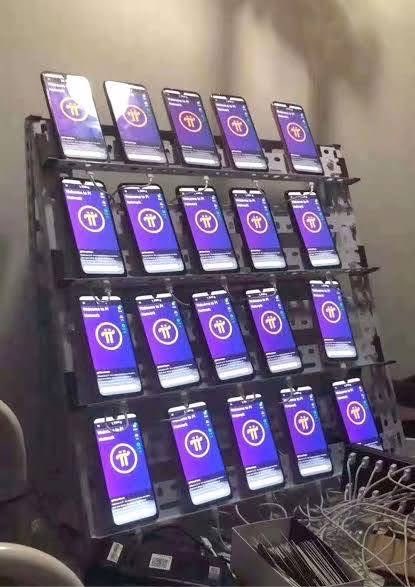 A rack of multiple smartphones all displaying the same purple screen with a circular logo, appearing to be part of a phone farm setup.