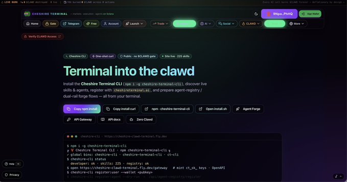 A screenshot of the Chesshire Terminal website displaying the heading 'Terminal into the clawd' with install commands and a CLI example for 'chesshire-cli'.