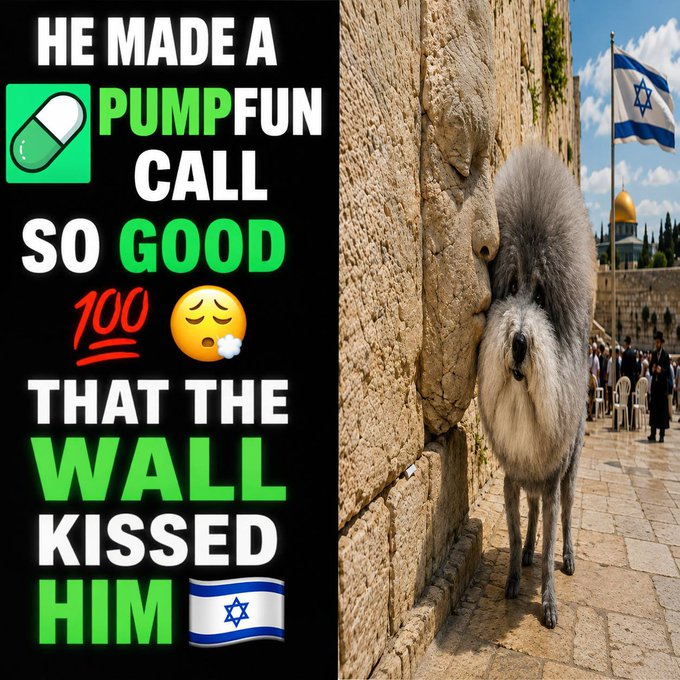 A meme featuring a dog standing on its hind legs against a wall with an Israeli flag, with text reading 'HE MADE A PUMPFUN CALL SO GOOD 100 THAT THE WALL KISSED HIM 🇮🇱'.
