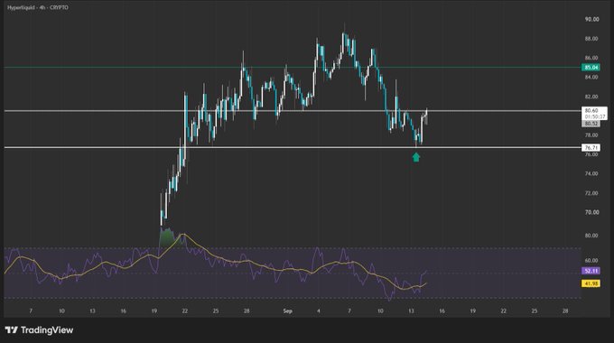 A TradingView financial chart displays the Hyperliquid (CRYPTO) price movement as a candlestick graph with an RSI indicator below, showing price levels fluctuating around $80.64.