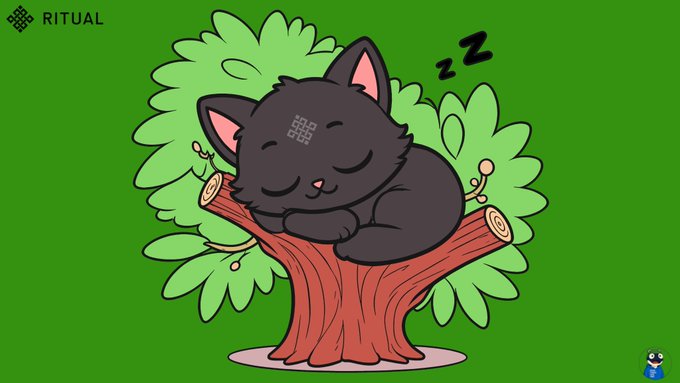 A cartoon black cat with a QR code on its forehead sleeping on a tree branch, branded with the 'RITUAL' logo on a green background.
