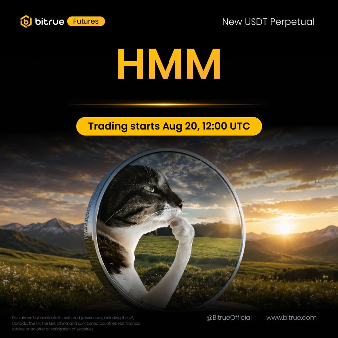 Bitrue Futures announces the launch of a new HMM/USDT Perpetual contract, with trading starting August 20 at 12:00 UTC. The promotional graphic features a tabby cat encased in a coin-shaped frame against a scenic mountain sunset, visually tying into the "HMM" cat-themed ticker.