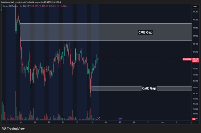 ursa charting.com CME Gap indicator, with a black background and red and green lines representing the stock's price movements over time.