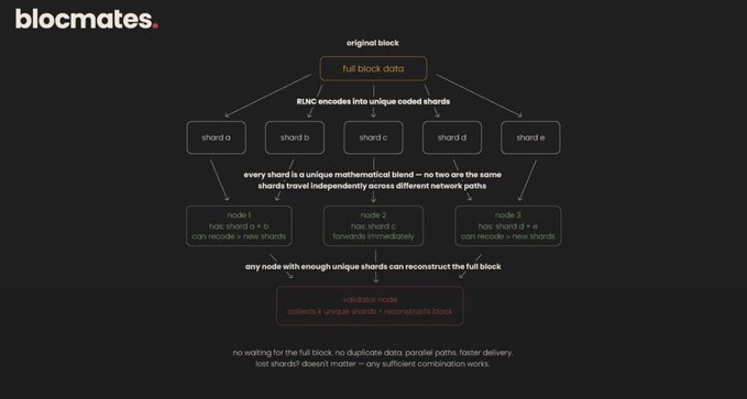 A diagram titled 'blocmates' illustrating blockchain sharding, showing how an original block is encoded into unique shards distributed across nodes for reconstruction by a validator.