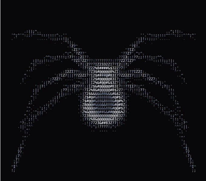 ASCII art of a spider with "NTRPY" written in its center, likely referencing the $NTRPY ticker that the post is promoting.