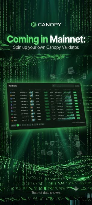 A green-themed promotional graphic for 'CANOPY' announcing 'Coming in Mainnet: Spin up your own Canopy Validator,' displaying a validator interface screenshot over a digital matrix background.