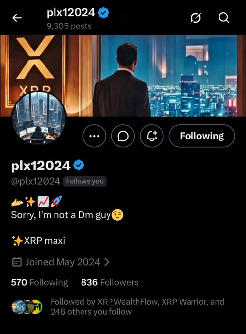 This is an Instagram profile page for "plx12024" (@plx12024), showing a verified account with 9,305 posts and 836 followers. The profile features a banner of a man in a suit overlooking a city skyline with an XRP logo, identifies the user as an "XRP maxi," and joined in May 2024—aligning with the post's shoutout encouraging followers to follow this XRP HODLer.